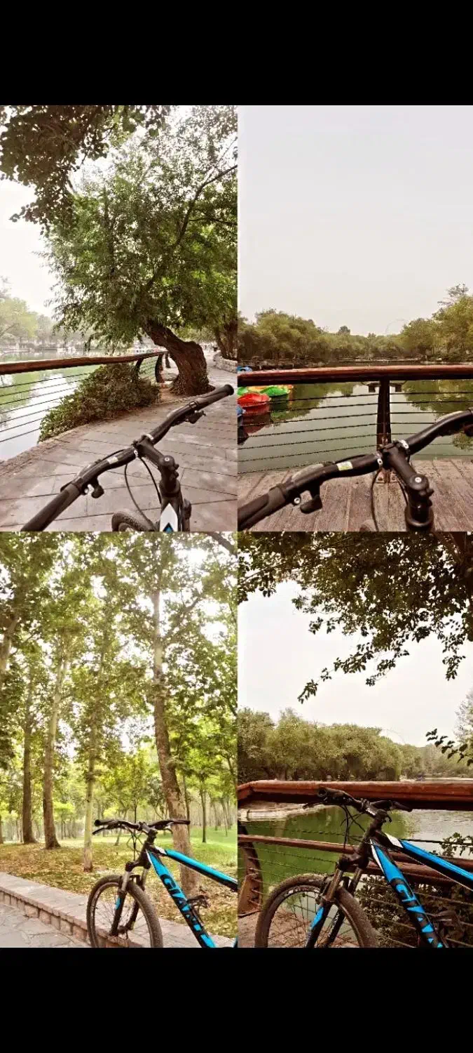 دوچرخه جاینت تالون اصل|دوچرخه، اسکیت، اسکوتر|مشهد, یاس|دیوار