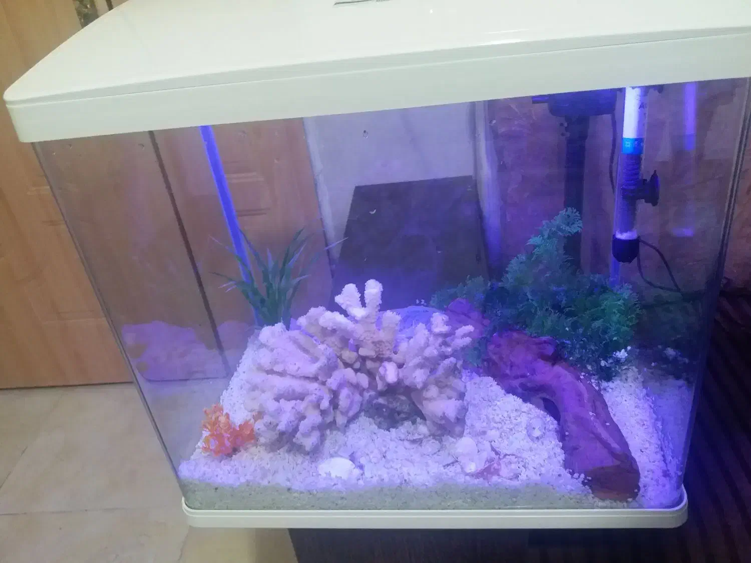 آکواریوم با تمامی وسایل|ماهی|ایلام, |دیوار