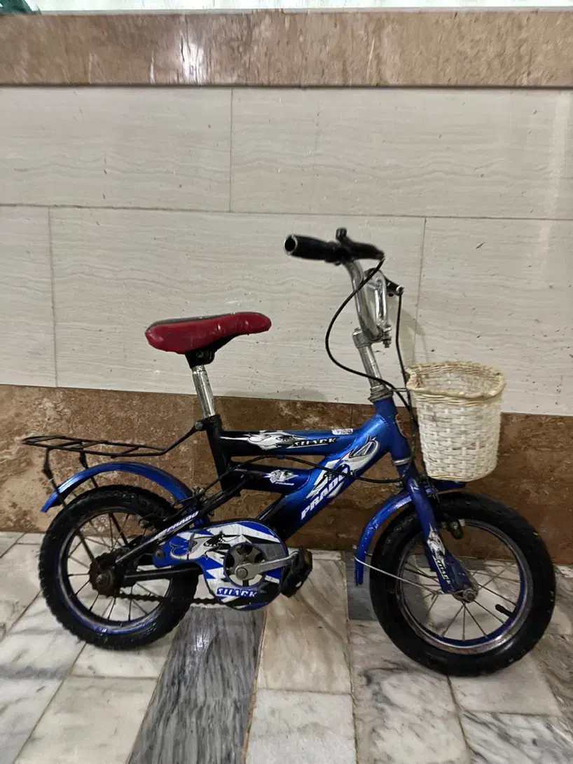 دوچرخه کودک|دوچرخه، اسکیت، اسکوتر|تهران, استخر|دیوار