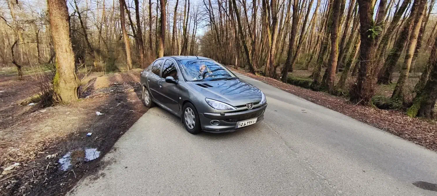 206 sd 92|خودرو سواری و وانت|شهر ری, جوانمرد قصاب|دیوار