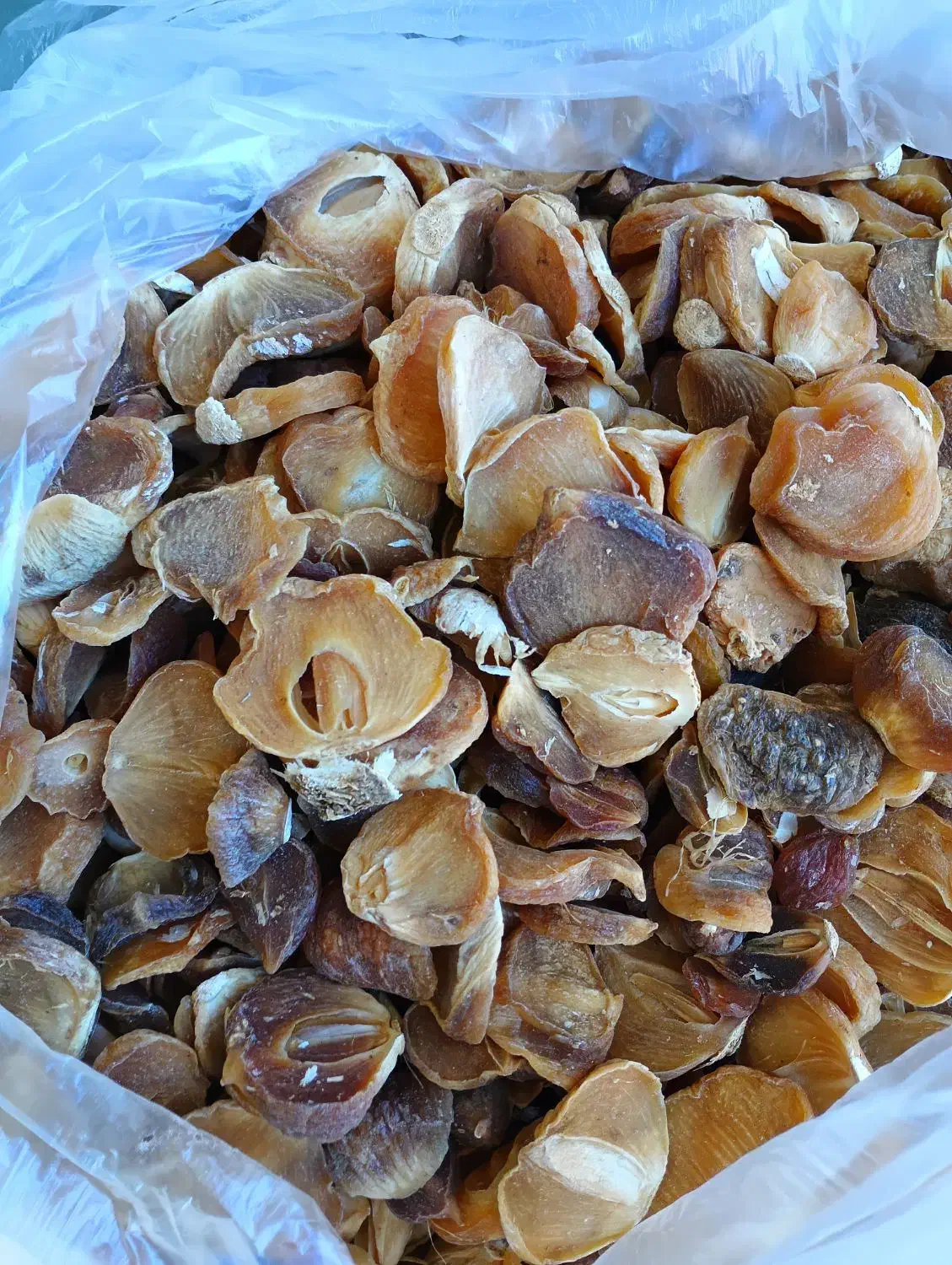 شیشه ای موسیر|خوردنی و آشامیدنی|قم, دانش|دیوار