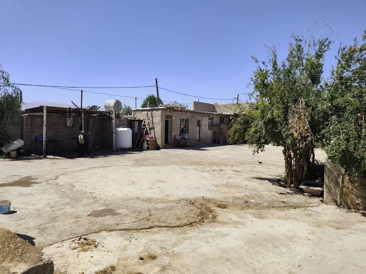 گاوداری صنعتی و زمین روبرو دارای طرح هادی|فروش دفتر صنعتی، کشاورزی، تجاری|شیراز, علی آباد|دیوار