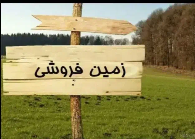 فروش یک پلاک مسکونی ۲۰۰متری در کلستان (کلسون)|فروش زمین و ملک کلنگی|شیراز, گلستان|دیوار