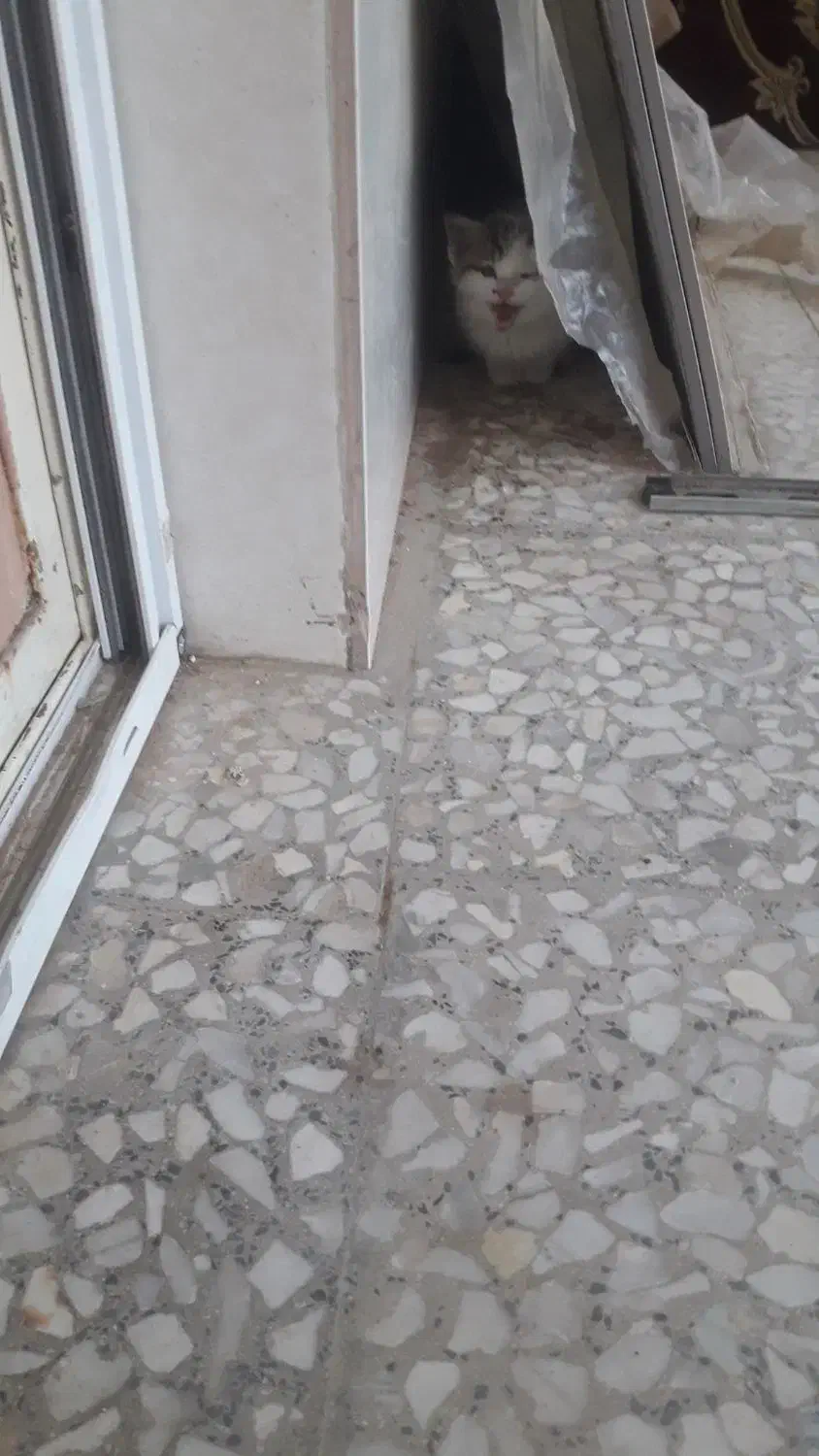 اجاره یک واحد خانه کلنگی مستقل|اجارهٔ خانه و ویلا|تهران, امام زاده حسن|دیوار