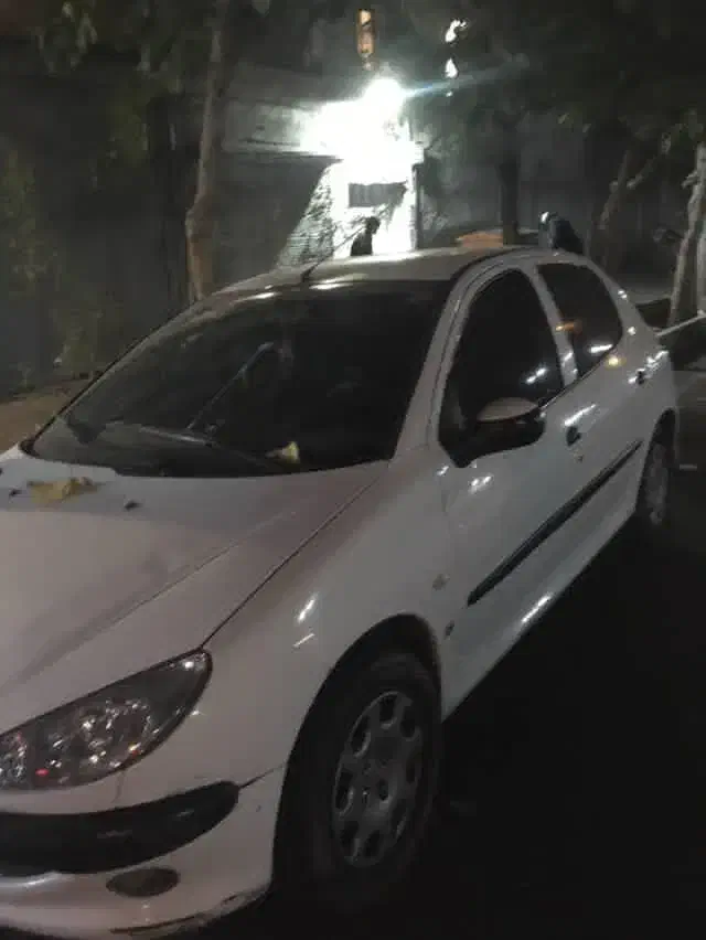 ۲۰۶|خودرو سواری و وانت|تهران, هرندی|دیوار