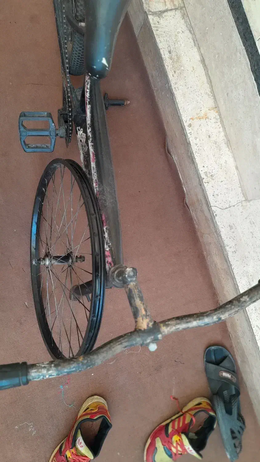 دوچرخه ۲۴|دوچرخه، اسکیت، اسکوتر|الوند, |دیوار