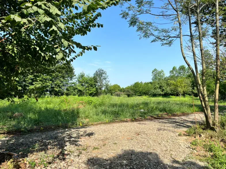 کلبه سویسی دو خوابه جکوزی دار ویو جنگلی  ماسال|اجارهٔ کوتاه‌مدت ویلا و باغ|رشت, منظریه|دیوار