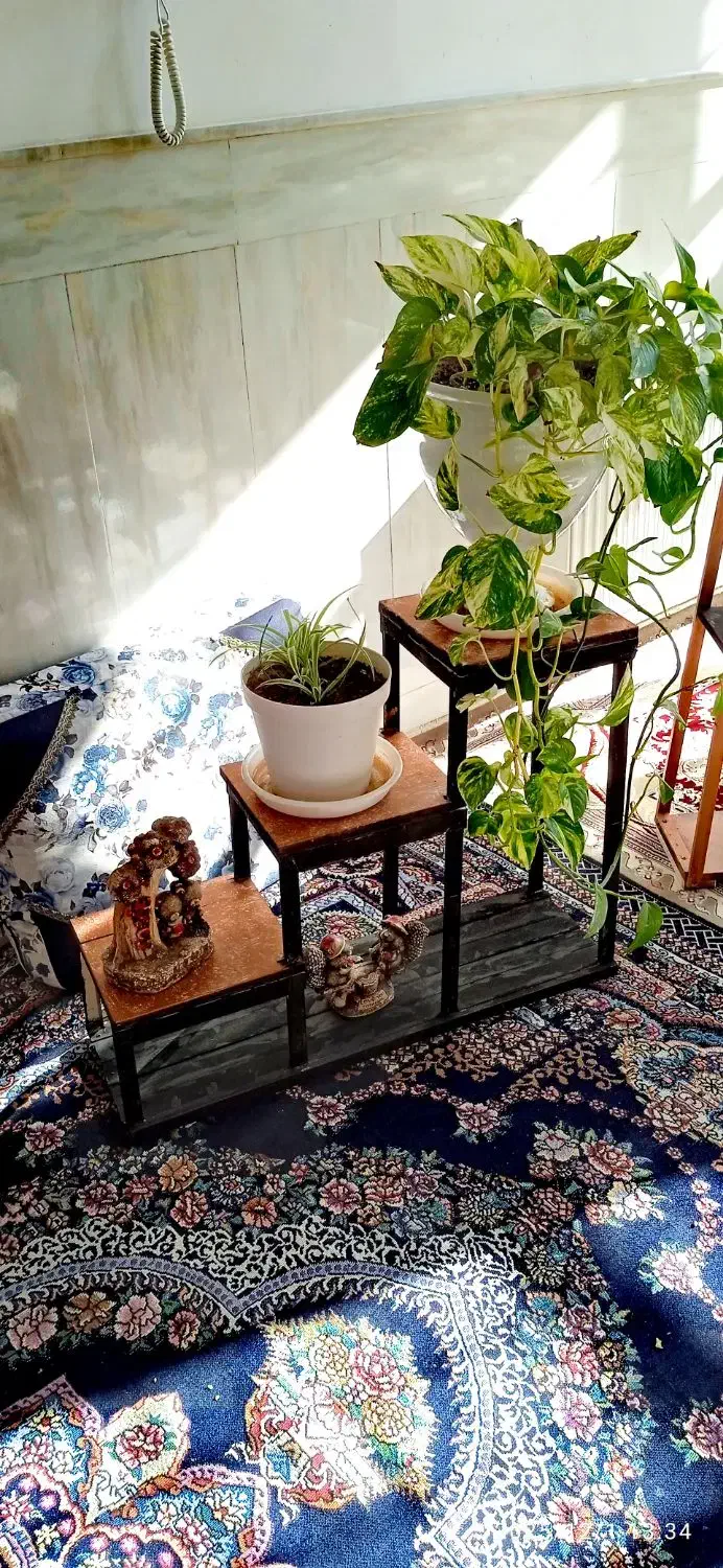 جا گلدانی و جاکلیدی و استند دیواری|گل و گیاه طبیعی|میبد, |دیوار