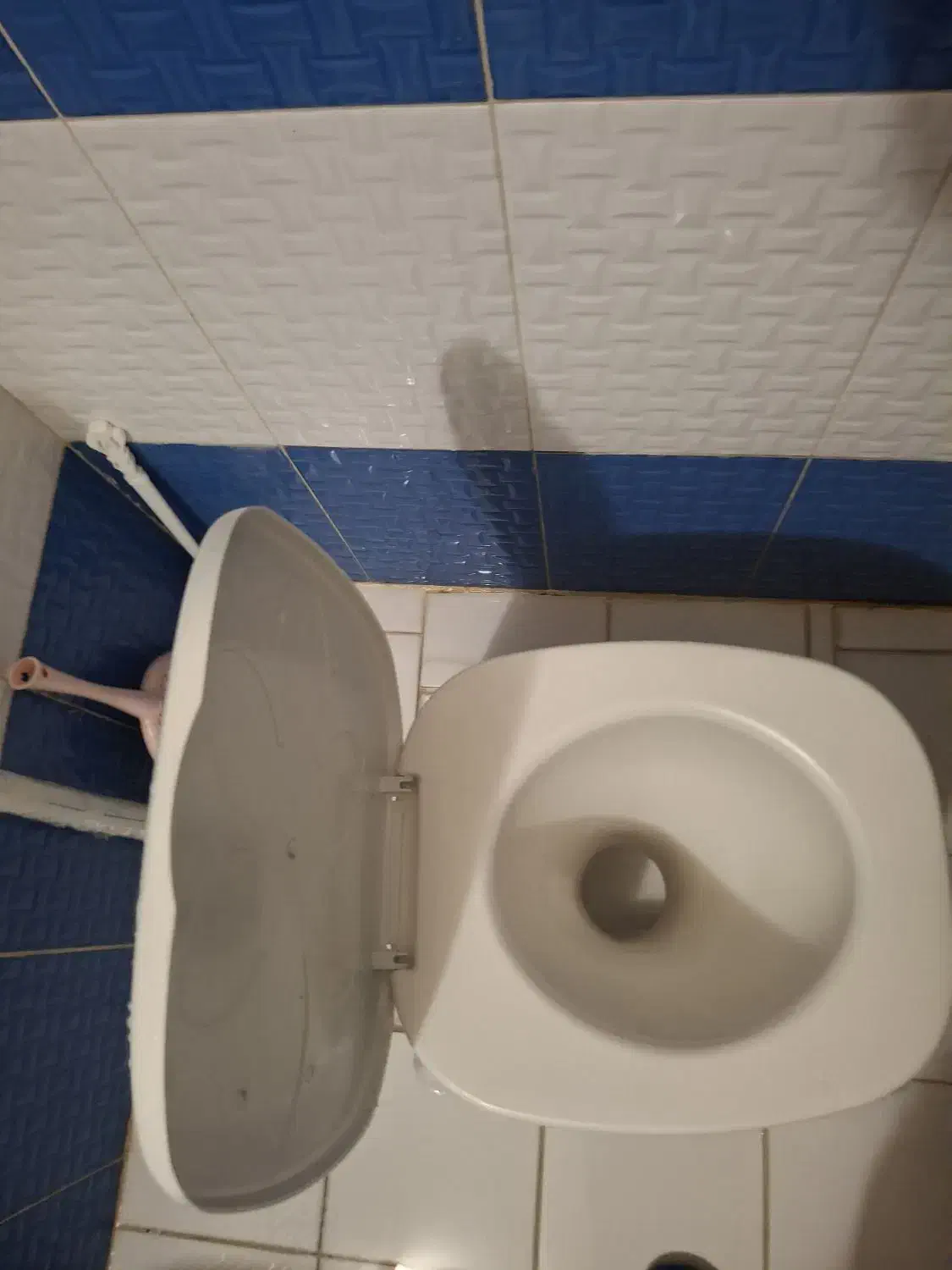 دستشویی فرنگی پلاستیکی|لوازم سرویس بهداشتی|قدس, شهرقدس|دیوار