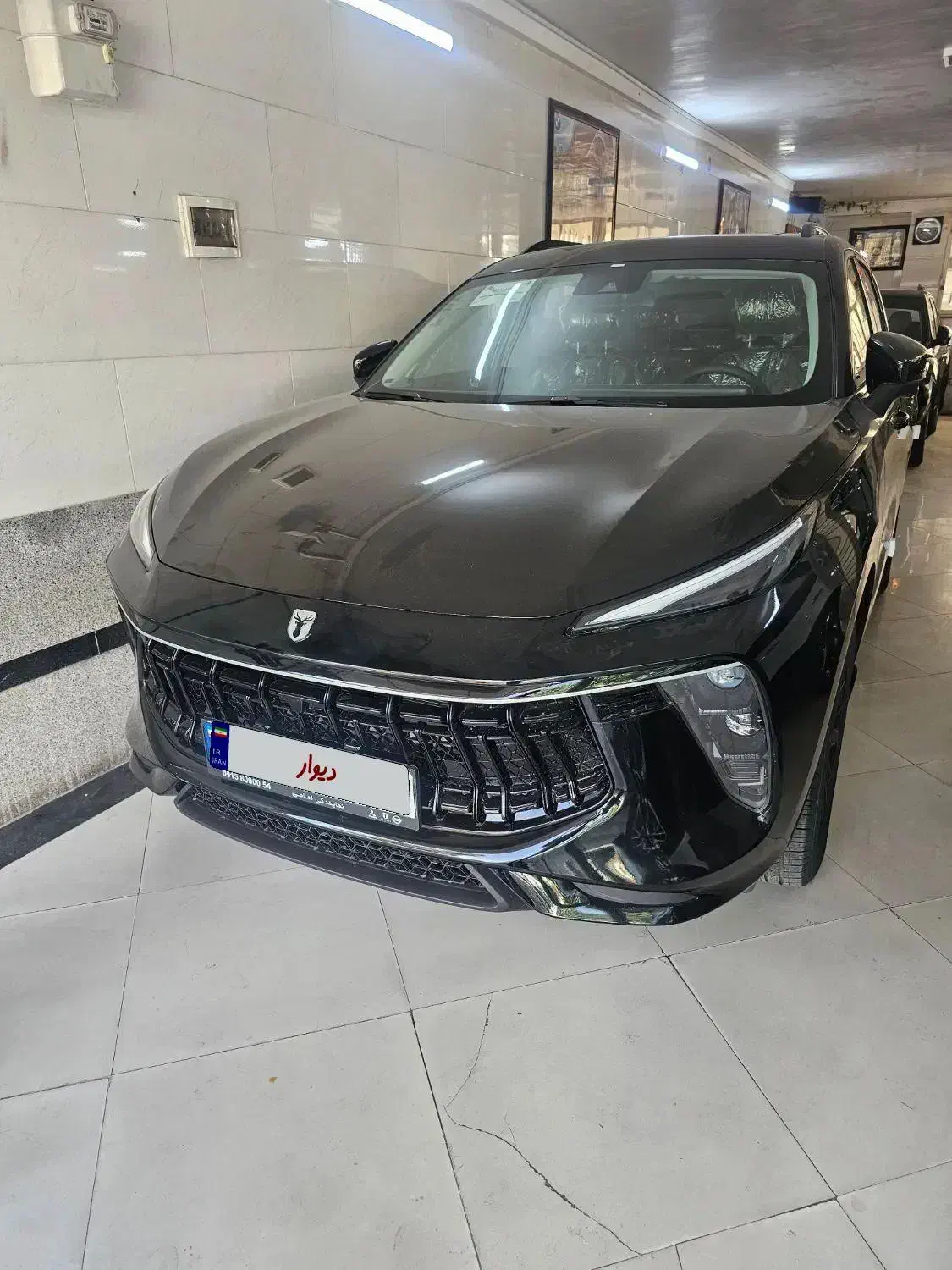 لاماری خشک سند ازاد اماده انتقال|خودرو سواری و وانت|مشهد, سمزقند|دیوار