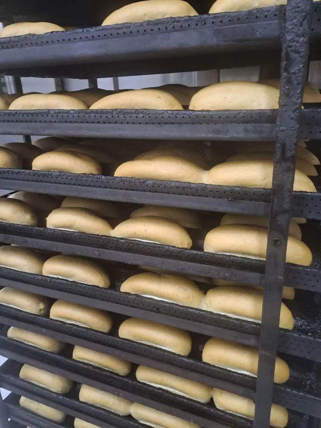 به یک نیروی آقابرای تولیدی نان نیازمندیم|استخدام خدمات فروشگاه و رستوران|کاشان, سرپله جدید|دیوار