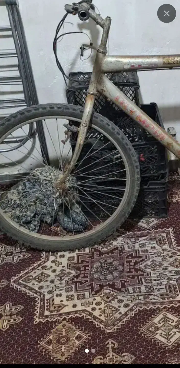 دوچرخه|دوچرخه، اسکیت، اسکوتر|کارون, |دیوار