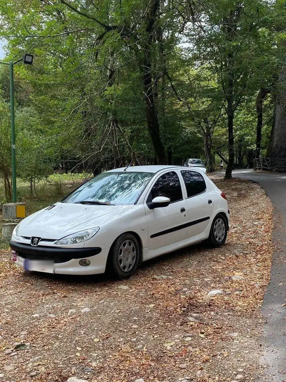 206|خودرو سواری و وانت|مشهد, زیبا شهر|دیوار