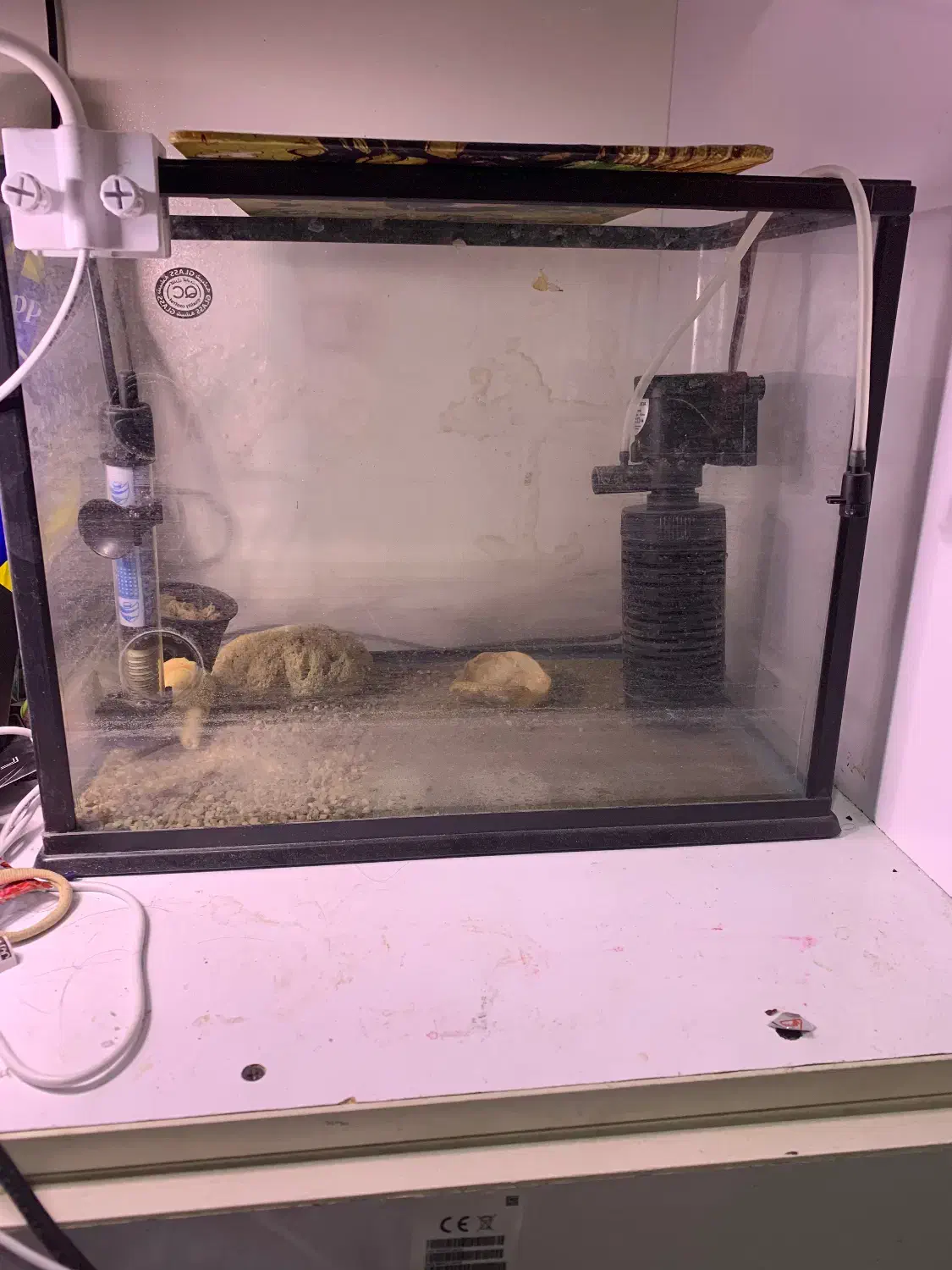 اکواریوم|ماهی|رشت, جانبازان|دیوار