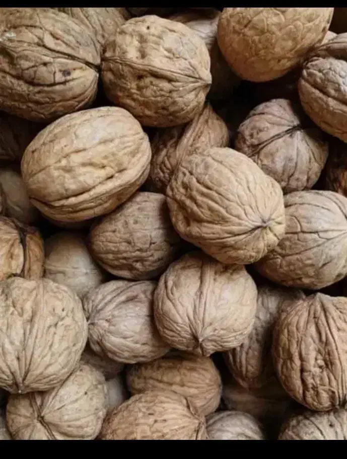 گردو|خوردنی و آشامیدنی|تویسرکان, |دیوار
