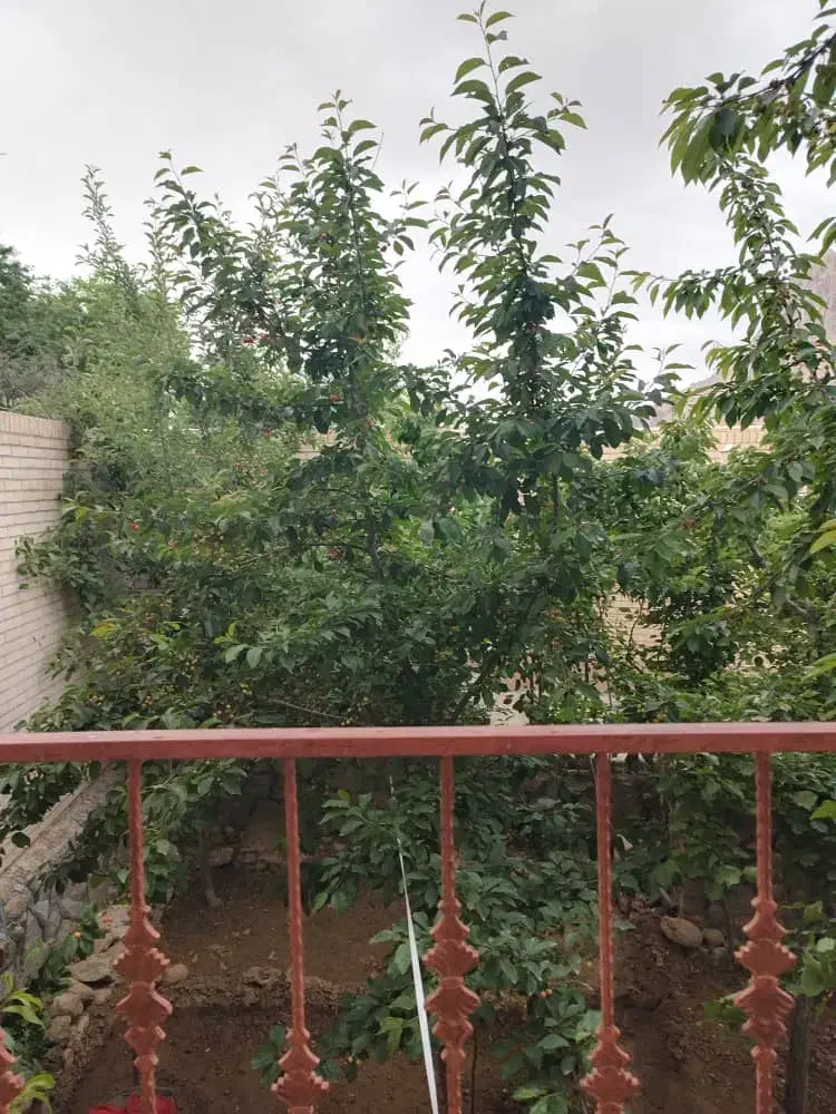 خونه باغ بسیاز زیبا ونقلی طزرجان|فروش خانه و ویلا|تفت, |دیوار