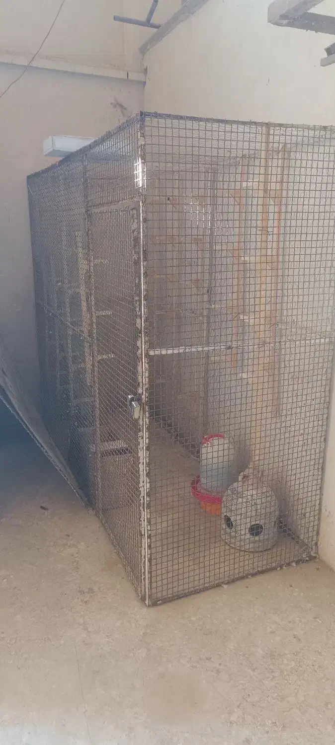 قفس اهنی|لوازم جانبی حیوانات|کازرون, |دیوار