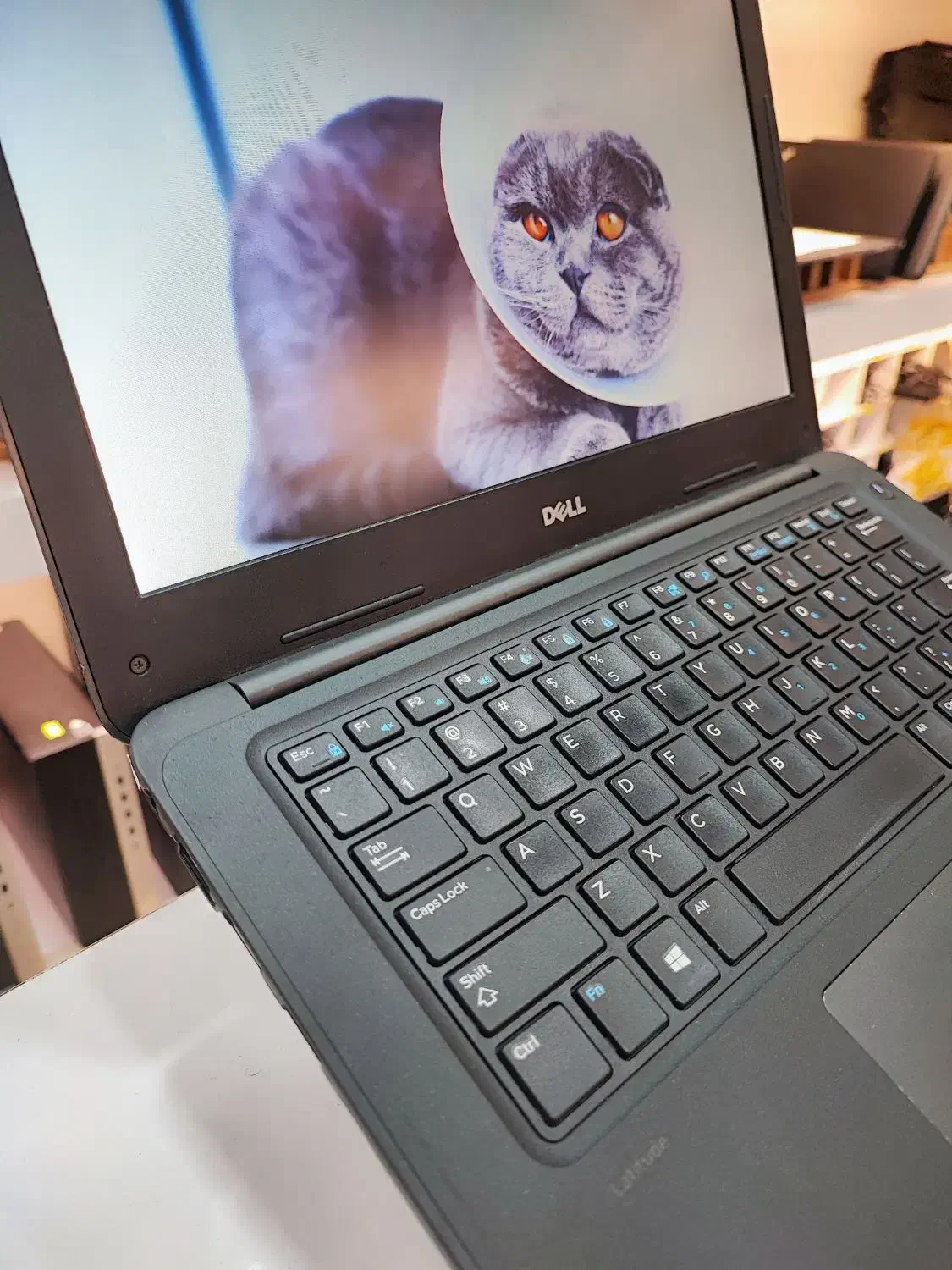 لپتاپ دل ۳۳۸۰، رم ۸، حافظه ۲۵۶، پردازنده i3 نسل ۶|رایانه همراه|بوشهر, |دیوار