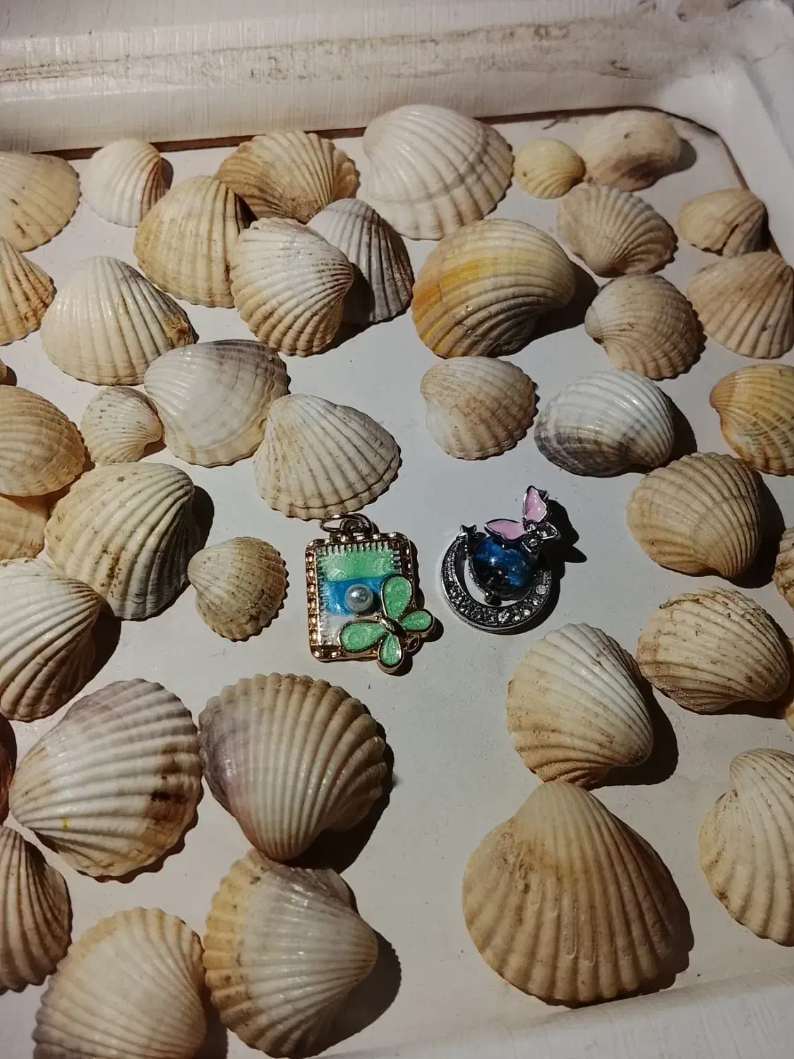 پلاک زنجیر و غیره(اکسسوری)|بدلیجات|بروجرد, |دیوار