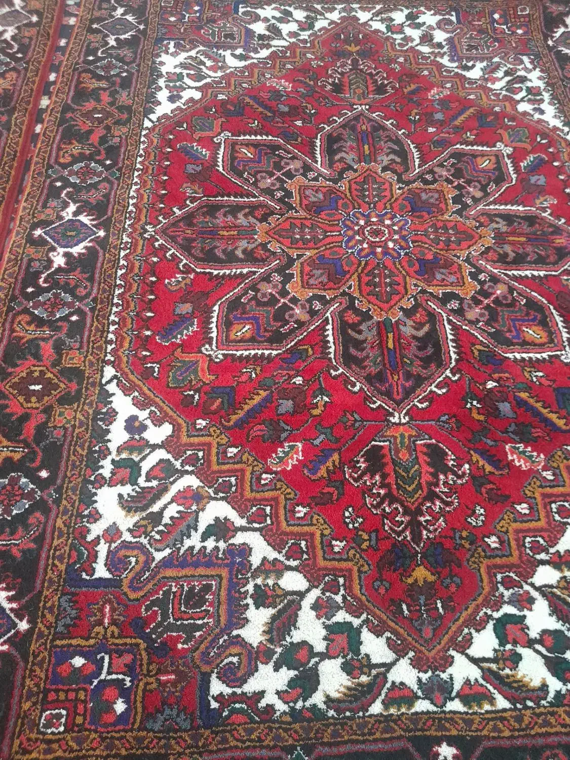 یک جفت فرش دستبافت اطراف هریس|فرش|خواجه, |دیوار