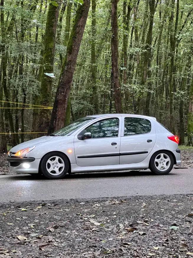 پژو ۲۰۶ مدل ۸۵ در حد ۹۵|خودرو سواری و وانت|تالش, طولارود|دیوار