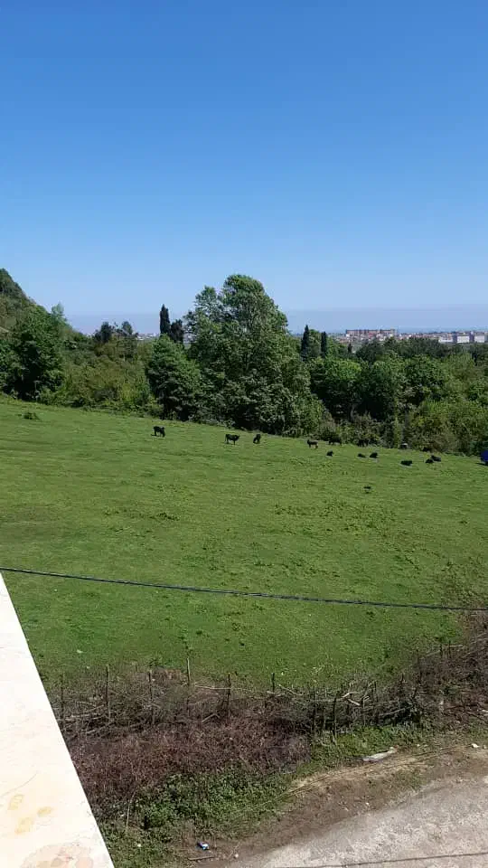 ویلا استخردار سه خواب اتاق مستر|اجارهٔ کوتاه‌مدت ویلا و باغ|آستارا, |دیوار