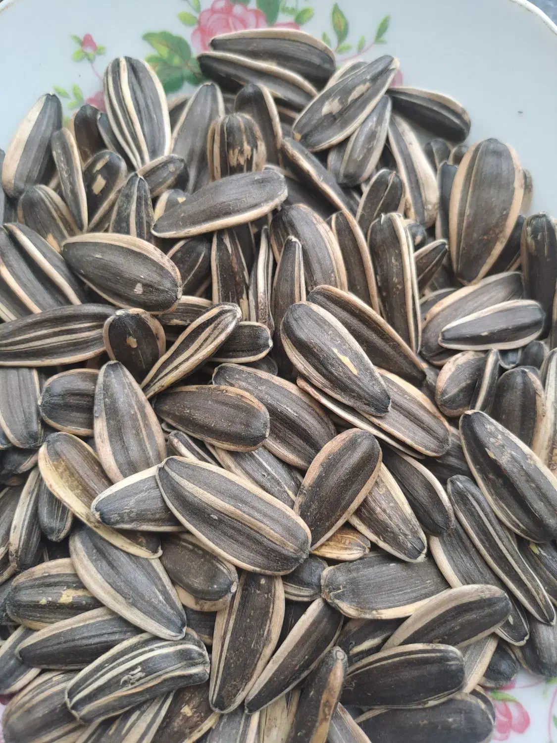 دو تن تخمه ی آفتابگردان کانادایی، درجه یک|عمده‌فروشی|موچش, |دیوار