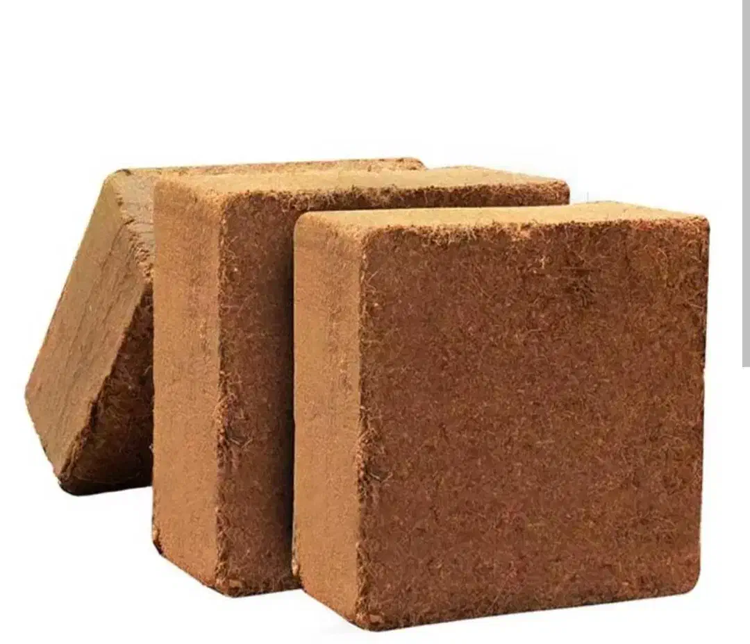 کوکوپیت|خدمات باغبانی و درختکاری|رودسر, |دیوار