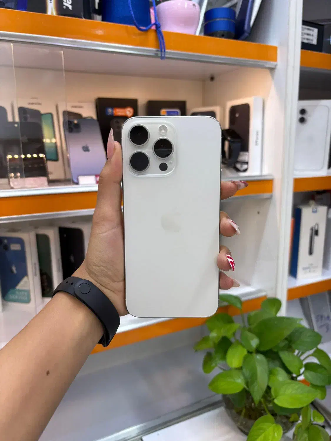 iPhone 15 promax ایفون ۱۵ پرومکس|موبایل|شیراز, ملاصدرا|دیوار