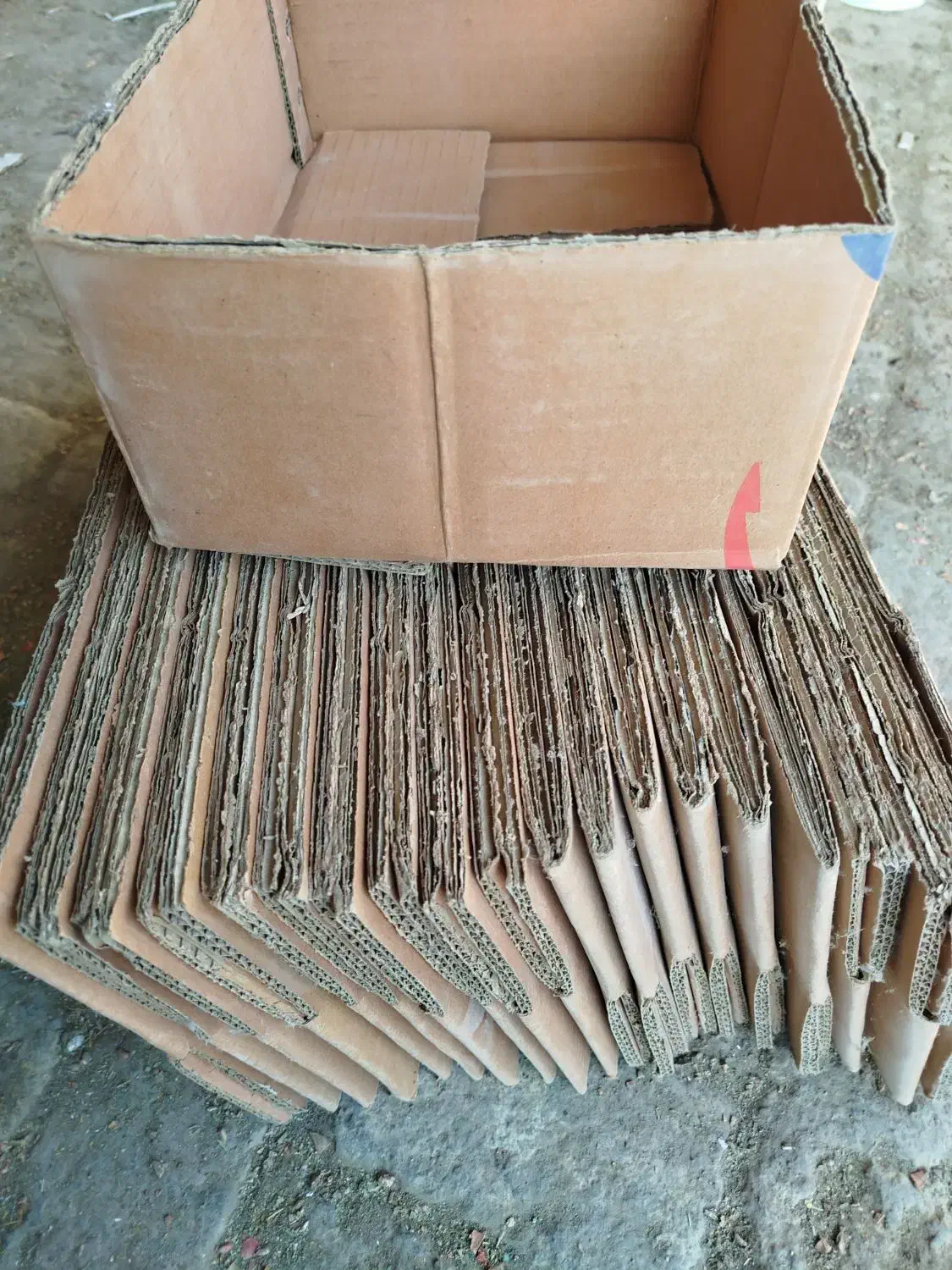 کارتن انار|عمدهفروشی|قم, بکایی|دیوار