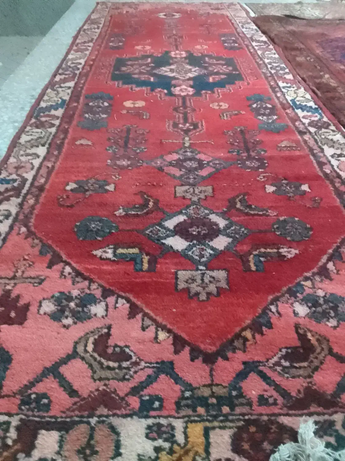 فروش وخرید فرش|فرش|تاکستان, |دیوار