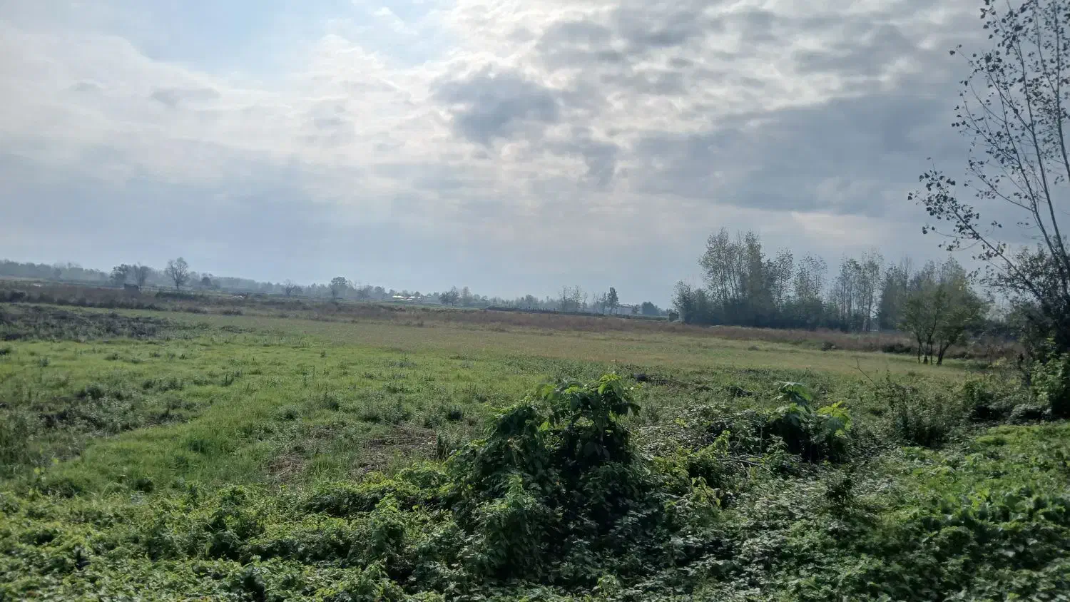 ۵۰۰مترزمین داخل طرح ویشگاننک سنگررشت|فروش زمین و ملک کلنگی|سنگر, |دیوار