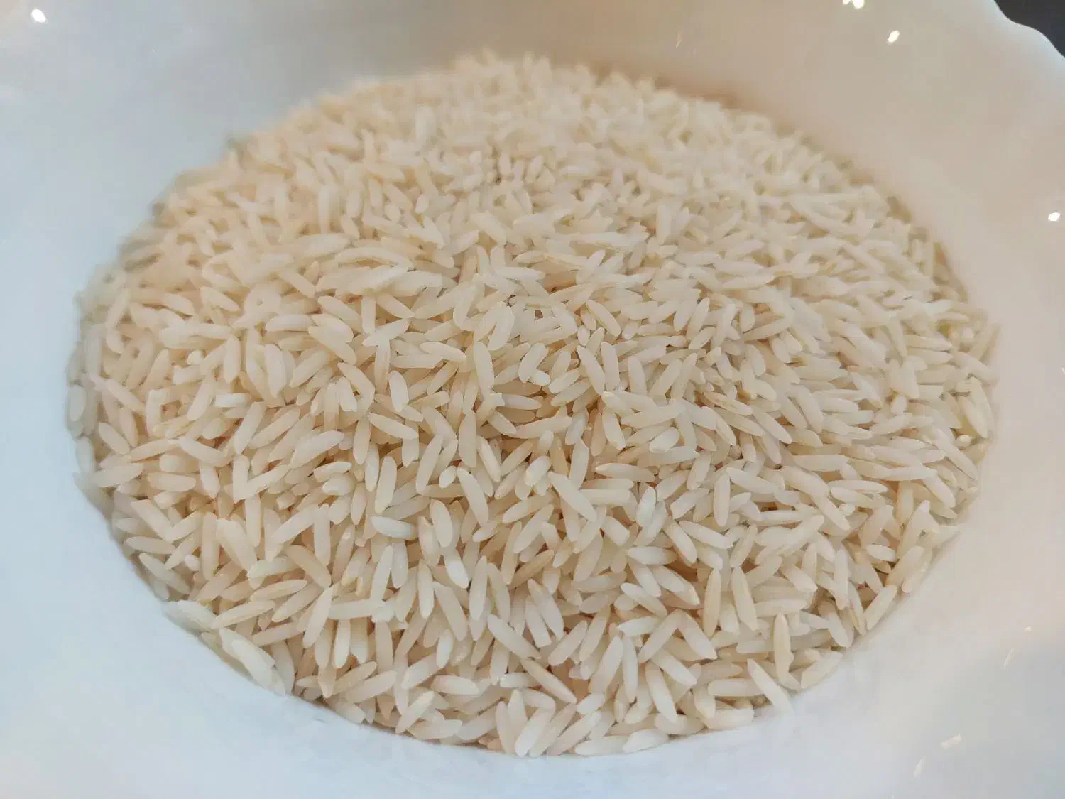 برنج طارم هاشمی|خوردنی و آشامیدنی|بندرعباس, |دیوار