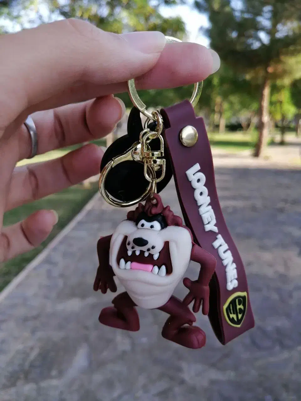 جاسوییچی اورجینال|زیورآلات و اکسسوری|تربتحیدریه, باغ ملی|دیوار