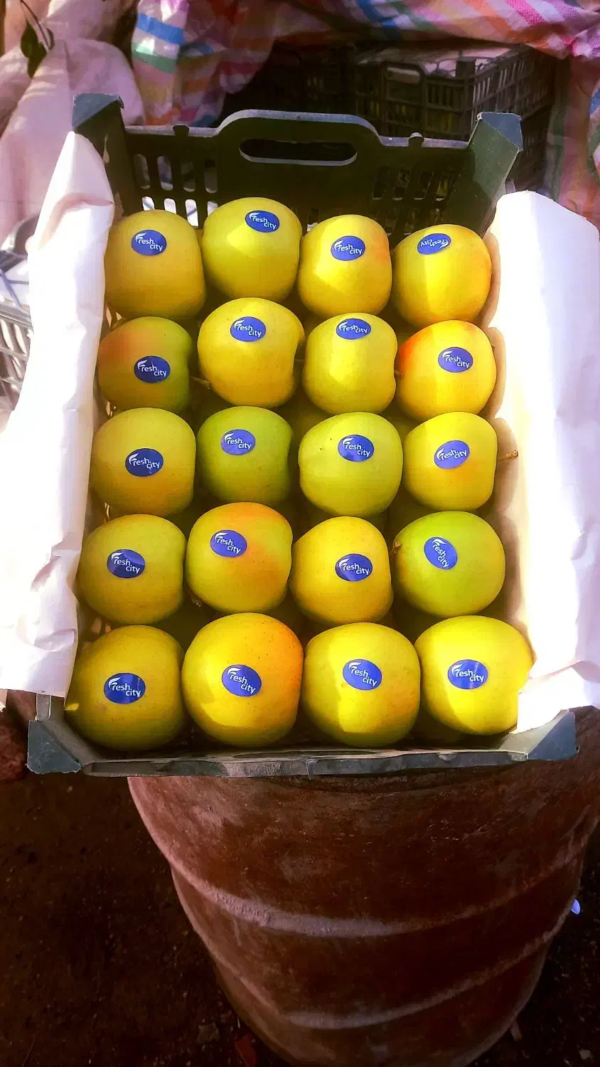 سیب فوق العاده خوشمزه ۳۸ جعبه دو ردیفی هست|خوردنی و آشامیدنی|صفائیه, |دیوار