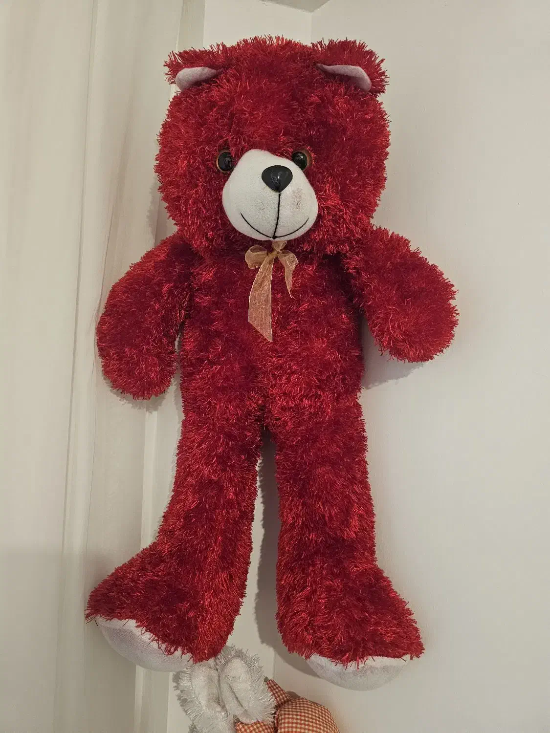 عروسک زیبا|اسباب‌بازی بچه|سنندج, |دیوار