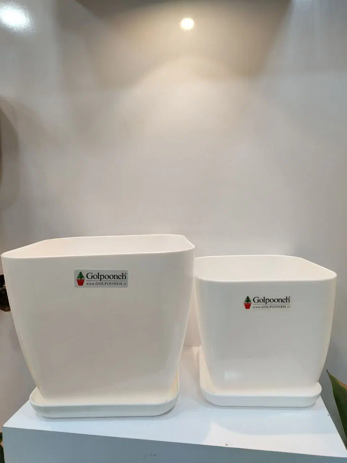 گلدان و وسایل گل و گیاه با ارسال رایگان|گل و گیاه طبیعی|پیر بکران, |دیوار