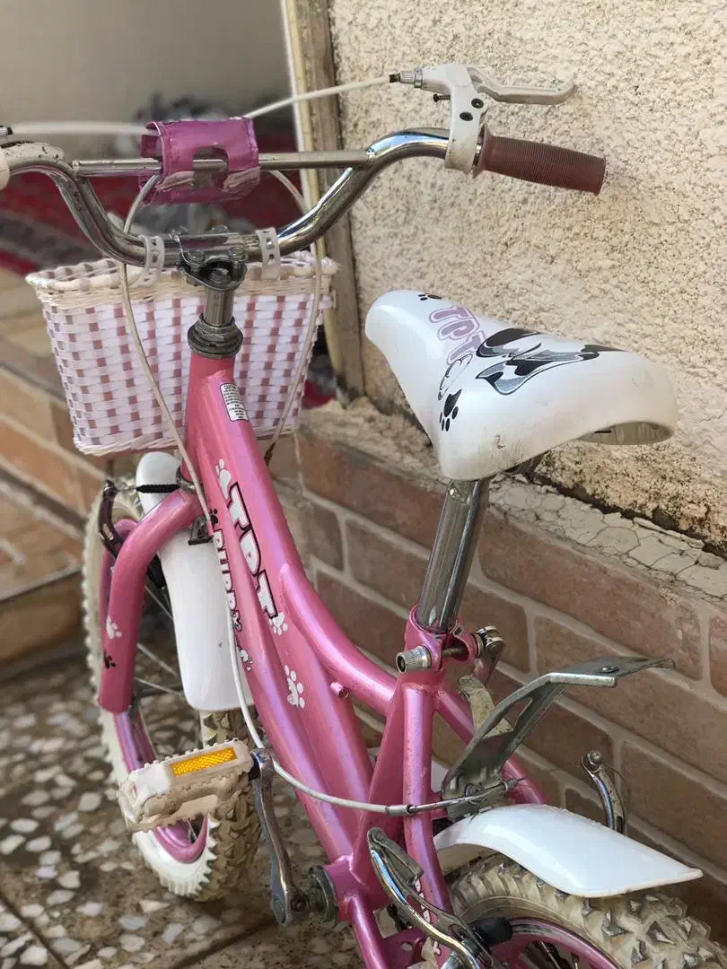 دوچرخه ۱۶نو دخترانه|دوچرخه، اسکیت، اسکوتر|رشت, دیلمان|دیوار