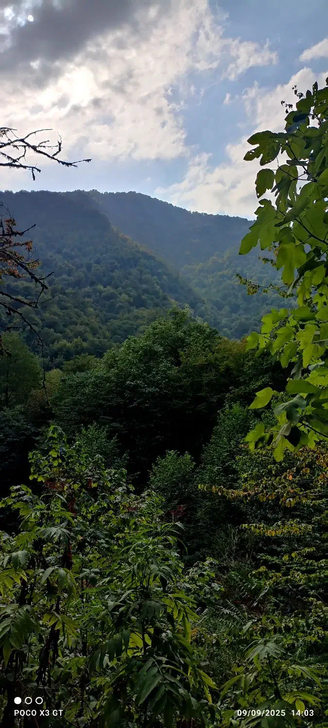 راهنمایی|فعالیت داوطلبانه تحقیقاتی|تهران, نازیآباد|دیوار