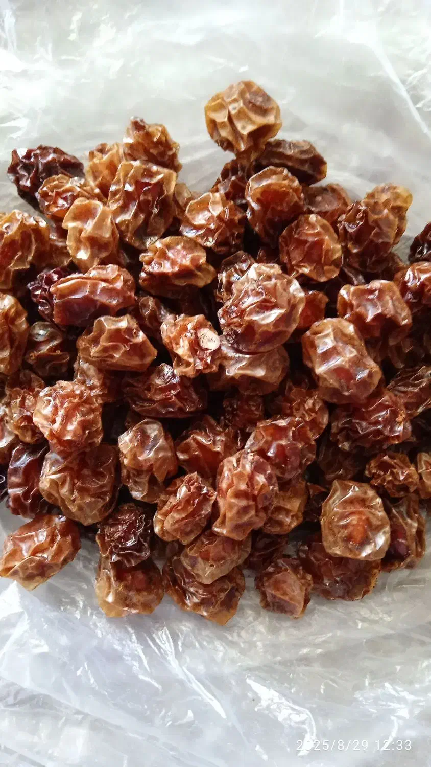 آلو خوراکی|خوردنی و آشامیدنی|شیراز, گلشن|دیوار
