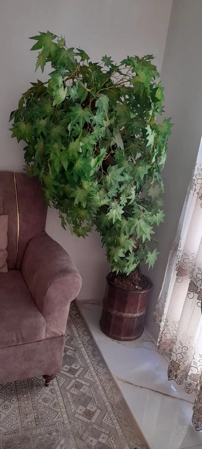 گل مصنوعی|گل مصنوعی|مشهد, طبرسی شمالی|دیوار