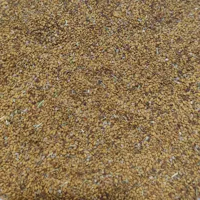 بذر یونجه بغدادی|خدمات باغبانی و درختکاری|اهواز, اسلام آباد غربی|دیوار