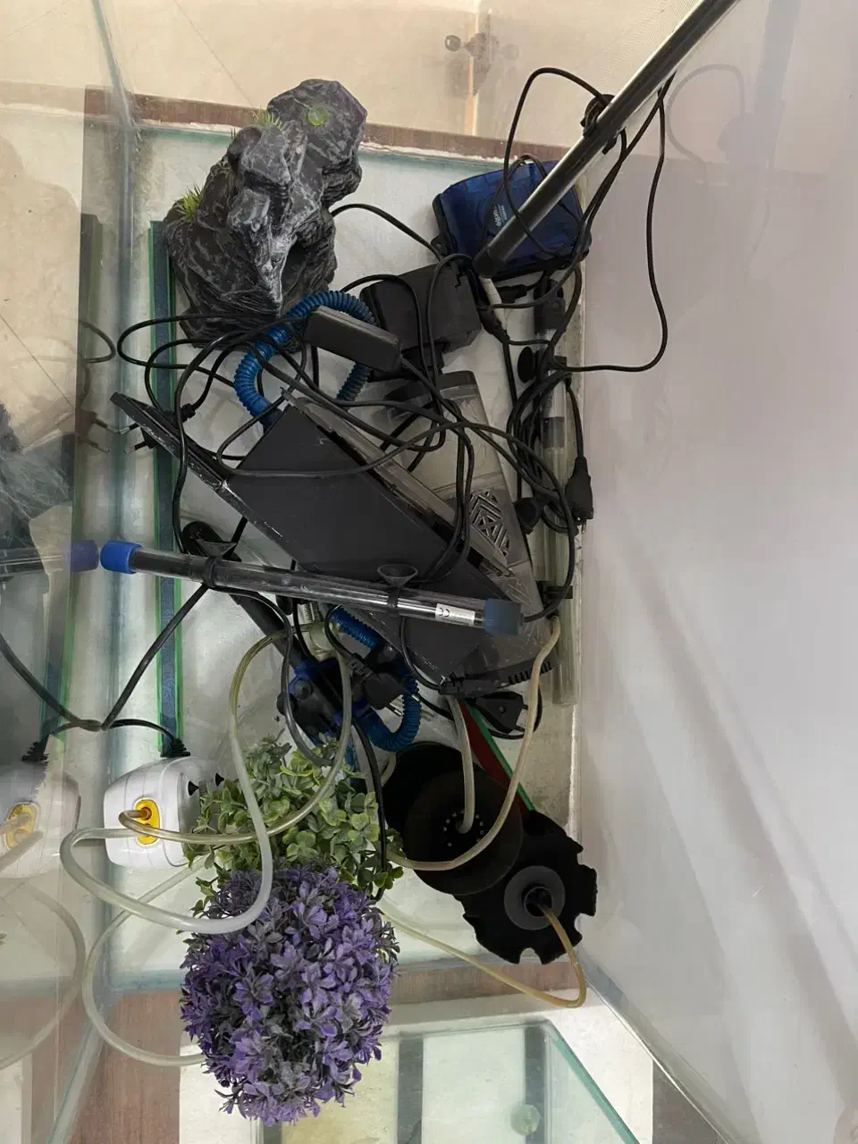 آکواریوم بزرگ و کوچک با تجهیزات|ماهی|شهریار, شهرک شاهد|دیوار