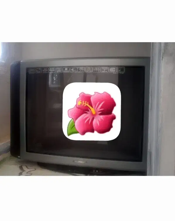 وسایل منزل تابلو و پرده وشلف|پرده، رانر، رومیزی|زنجان, |دیوار