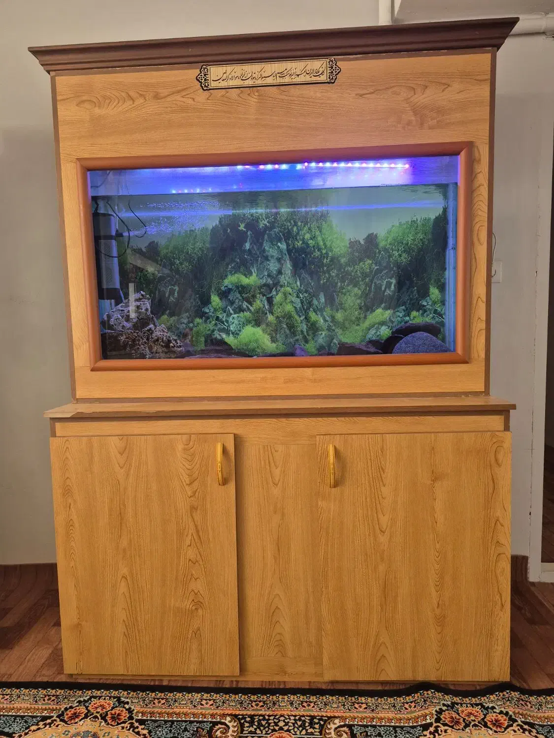 آکواریوم بزرگ|ماهی|کرمان, |دیوار