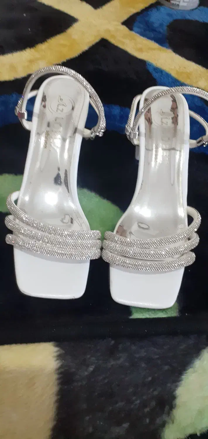 کفش مجلسی بسیارشیک|کیف، کفش، کمربند|پرند, فاز ۶|دیوار