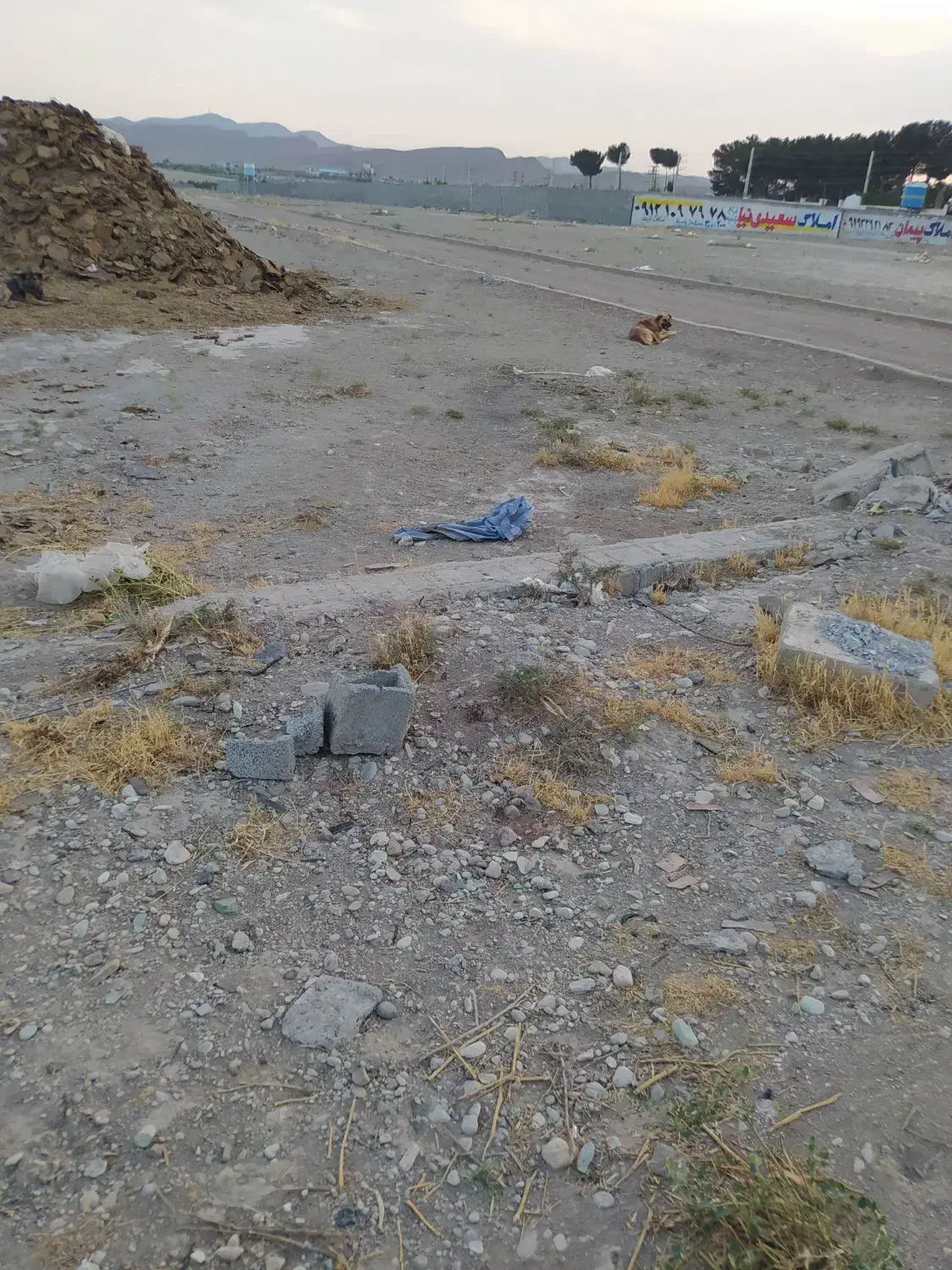 کود حیوانی گوسفند کهنه|خدمات باغبانی و درختکاری|رباط‌کریم, رباط‌کریم|دیوار