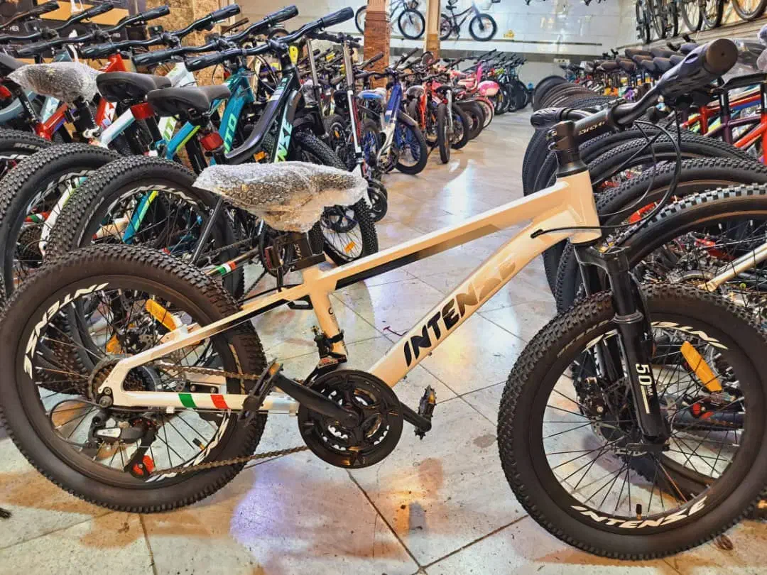 دوچرخه های ۲۰و۲۴ اینتنز۱۰درصدتخفیف فروش نقدی|دوچرخه، اسکیت، اسکوتر|کرج, شهرک نهال و بذر|دیوار