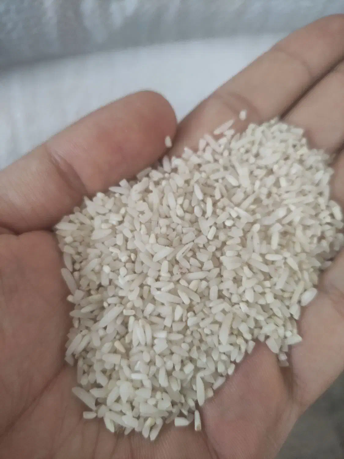 برنج سرلاشه محلی دورود عطری|خوردنی و آشامیدنی|بروجرد, |دیوار