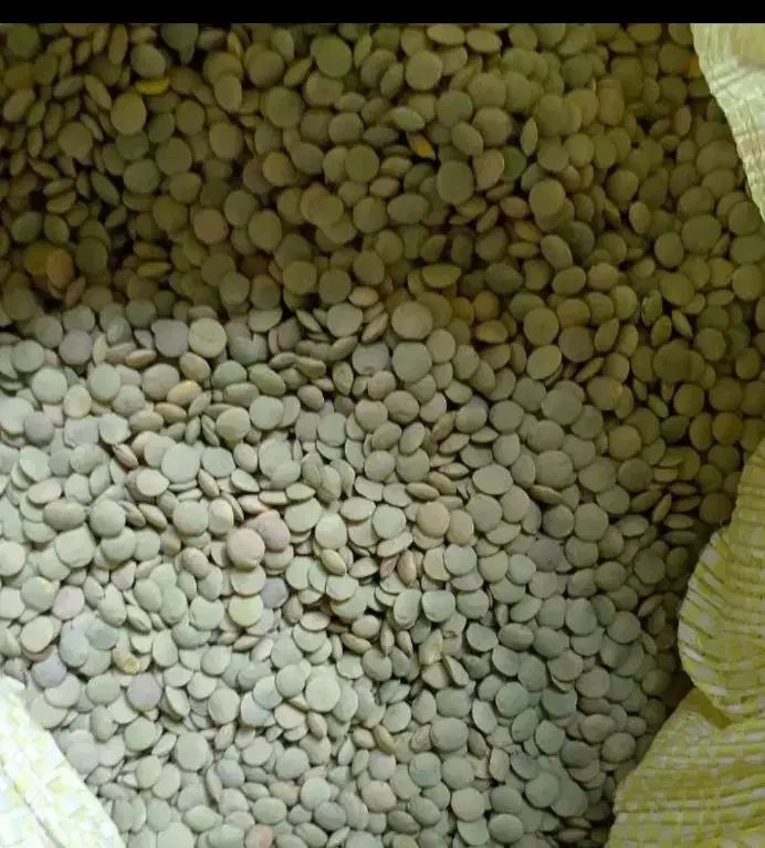 عدس|خوردنی و آشامیدنی|اهر, |دیوار